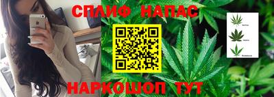 МДМА Камышлов