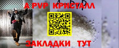 стаф Кунгур