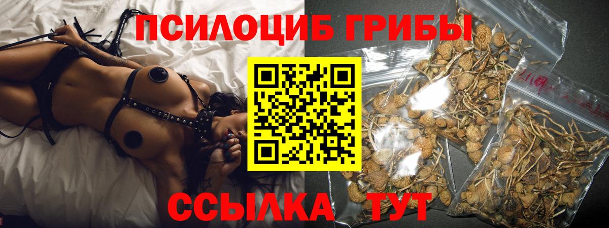 Галлюциногенные грибы ЛСД Ярославль