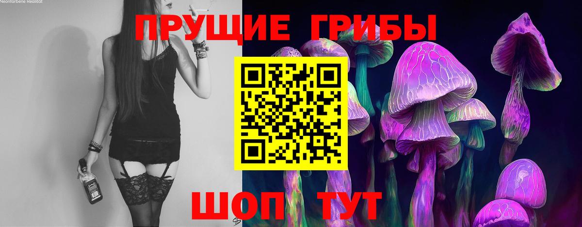 Ярославль  Галлюциногенные грибы Psilocybe  закладка  Вход с VPN 